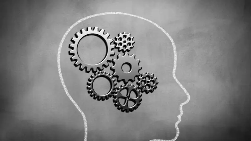 The Science Behind Fast Wealth